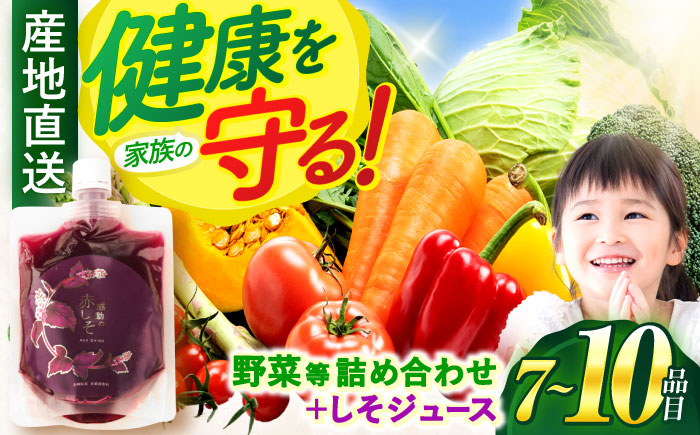 野菜等詰め合わせセット(7～10品目) / 野菜 果物 フルーツ くだもの きのこ / 諫早市 / 松尾農園 [AHAY002]