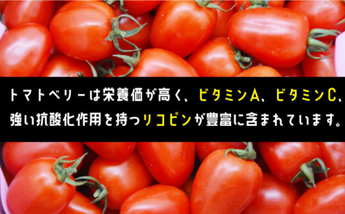 トマトベリー 3kg   / トマト 野菜 サラダ ミニトマト プチトマト / 南島原市 / 長崎県農産品流通合同会社 [SCB030]