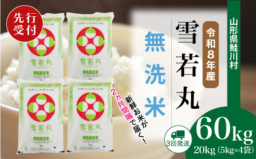 ＜令和8年産米先行受付＞ 令和9年1月上旬より配送開始 雪若丸【無洗米】60kg定期便(20kg×3回)　鮭川村