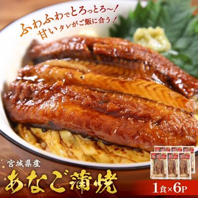 ふるさと納税 石巻市 宮城県産 あなご 蒲焼 (1食) 6パック入 冷凍 小分け 穴子 アナゴ 蒲焼き 魚 お魚 丼 寿司