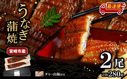 【最速便】【日時指定可能】宮崎県宮崎市産　うなぎの蒲焼　約280g（約140g×2尾）タレ・山椒セット_M325-002-2W