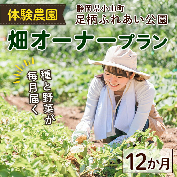 【ふるさと納税】足柄ふれあい公園 体験農園 畑オーナープラン（12か月） | 野菜 詰め合わせ 月1回発送 計12回 体験チケット 農業 家庭菜園 農園 野菜作り 栽培 収穫 農園オーナー 貸農園 畑 1年間 1年 静岡県 小山町 送料無料