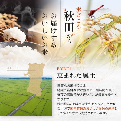 【令和5年産】大潟村産あきたこまち特別栽培米5kg (精米)【配送不可地域：離島・沖縄県】