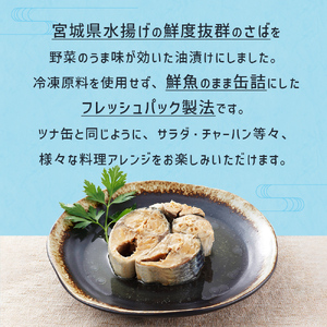 お試し！ 青魚 食べ比べ セット サバ缶 サンマ缶 イワシ缶 青魚 食べ比べ 缶詰 詰め合わせ お試し 常温 木の屋 魚 水煮 味噌煮 醤油 味付 いわし 鰯 さば サバ 鯖 秋刀魚 さんま サンマ 