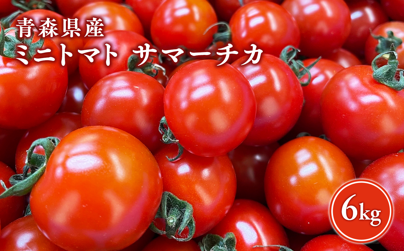 サマーチカ 6kg ミニトマト プチトマト 薄皮 フルーティー 新鮮野菜【hi-0070-003】