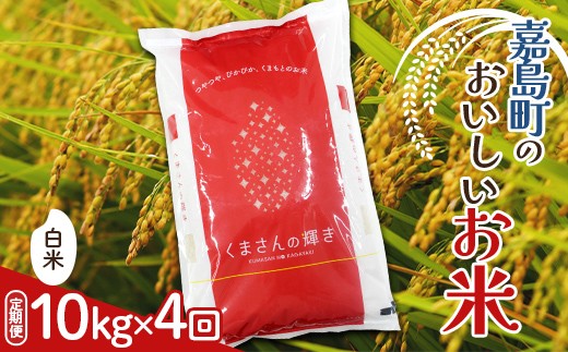 FK7-0273_【4カ月定期】【嘉島町産】くまさんの輝き 10kg 米 お米 コメ ごはん ご飯 食品 九州 熊本県 熊本 嘉島