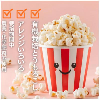 ふるさと納税 西桂町 【訳あり】作って楽しい!食べておいしい!有機栽培で作ったこだわりのポップコーン4袋(1袋100g) |  | 02