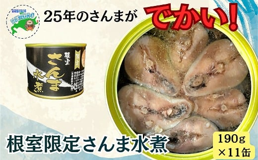 
            F-78012 【12/21まで年内配送】【北海道根室産】さんま水煮11缶
          