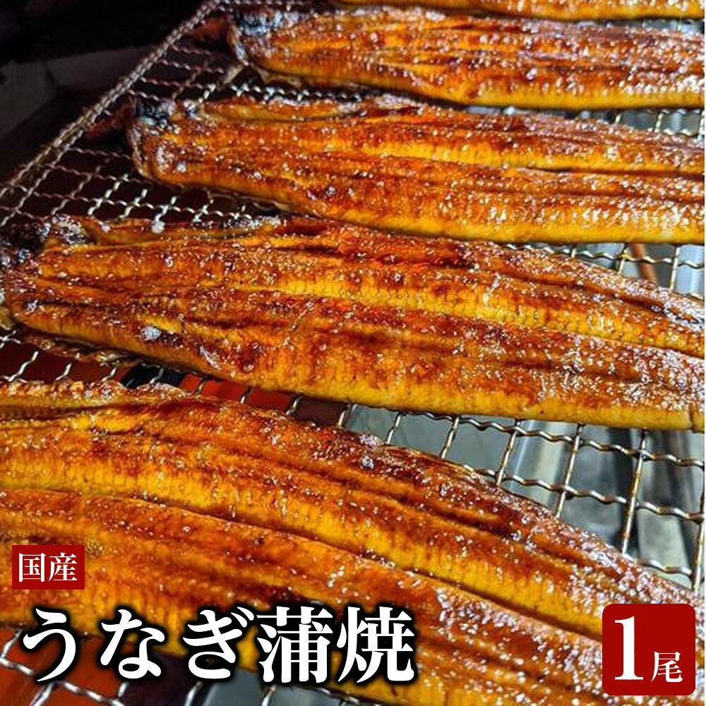 【ふるさと納税】鰻 うなぎ 蒲焼き 1尾 約165g-180g | 蒲焼 かば焼 かば焼き 国産 日本 冷蔵 真空パック 人気 おすすめ お取り寄せ グルメ 魚 さかな 滋賀 草津