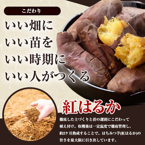 【12月中旬以降発送】〈数量限定〉和喜雄さんといつみさんのはちみつ芋(計3kg)【飯尾和喜雄農園】iio-7086
