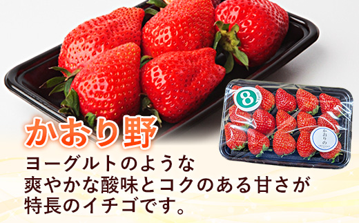 【先行予約】 かおり野 2パック 【 選べる品種 約290g×2パック かおりの イチゴ いちご 苺 ストロベリー 冷蔵 安来市産】【10-FA-10】 かおり野 2パック