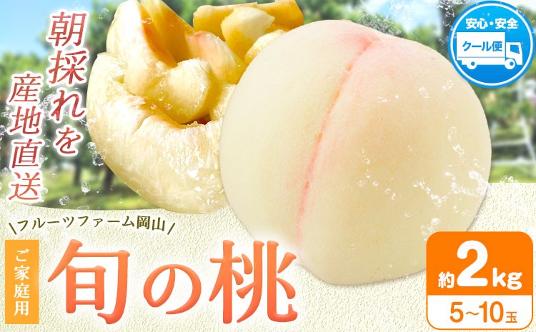 
                  桃 もも【2026年先行予約】桃 旬 旬の桃 ご家庭用 2kg (5～10玉) フルーツファーム岡山《2026年6月下旬-8月下旬頃出荷》岡山県 浅口市 送料無料 フルーツ モモ 果物 青果 旬 国産 岡山県産【配送不可地域あり】
                