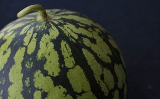 熊本県 益城町 スイカ だんらん 2玉  (2玉×2L) 計約14kg 【2026年4月下旬～6月下旬迄発送予定】