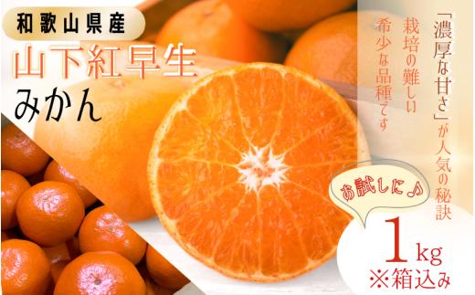 【和歌山県産】秀品 「紅娘」 温州 みかん  山下紅早生 1kg※箱込み「お試しに♪」 【S~2Lサイズおまかせ】【2025年11月下旬～2025年12月中旬までに順次発送】＜味好農園＞ /温州みかん