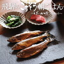 【ふるさと納税】川魚甘露煮 3種 食べ比べセット ご飯のお供 おつまみ ぼっか煮 さわ 飛騨のごちそう 鮎 惣菜 熨斗掛け ギフト[Q096x] 10000円 1万円