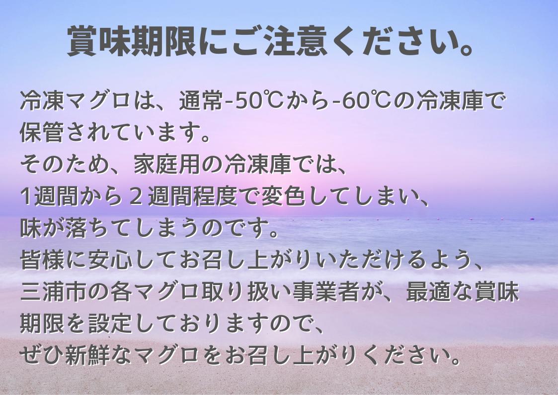 B25-001 天然本鮪　中トロサク（訳アリ）2柵