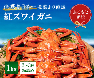 Y280 【蟹セレブ】紅ズワイガニ　1kg箱詰め（500g前後×2杯）