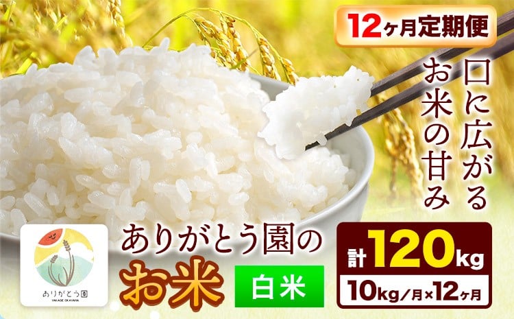 
                  【12ヶ月定期便】令和7年産 米 岡山県産 ありがとう園のお米 白米 10kg ありがとう園《お申込み月の翌月から出荷開始》岡山県 矢掛町 米 コメ 定期便 定期 st-p
                