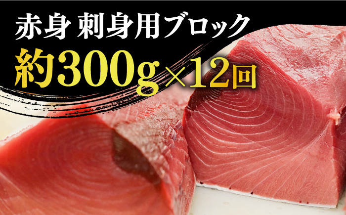 【全12回定期便】【ながさき水産業大賞受賞の新鮮なマグロを冷蔵でお届け！！】五島列島産 養殖 生本かみまぐろ 赤身 300g【カミティバリュー】 [RBP025]