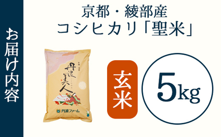 「丹波美人」 玄米 5kg | 米 お米 こしひかり 玄米