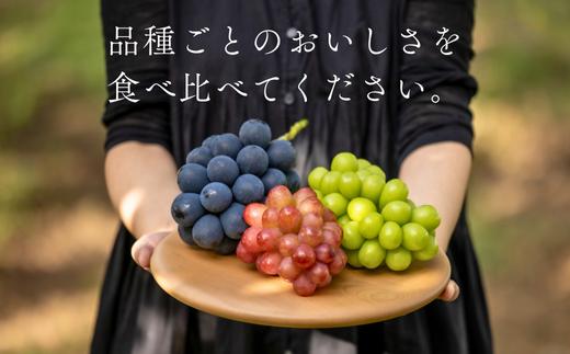 食べくらべにどうぞ。3色揃うと見た目にもおいしい◎