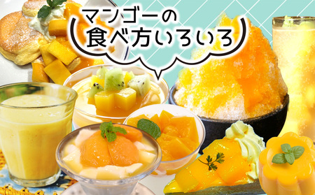 【2026年発送】贈答用マンゴー 約1kg【宜野座村産】 沖縄 南国 先行予約 期間限定 マンゴー 果物 くだもの フルーツ 果実 家庭用 自宅用 濃厚 甘い 芳醇 夏