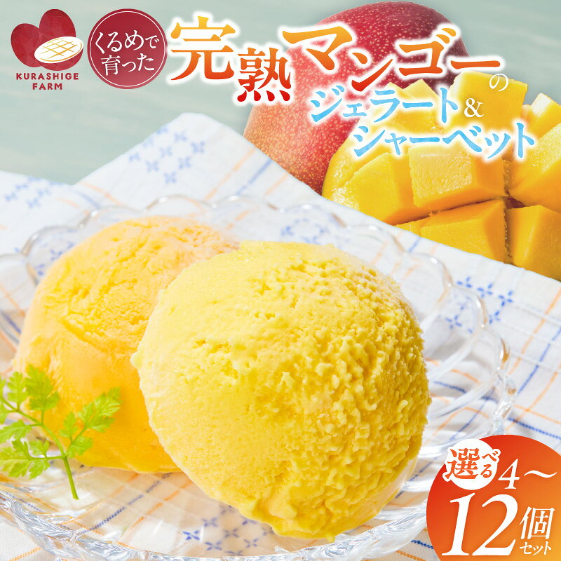 【ふるさと納税】【2026年7月お届け】 先行予約 完熟 マンゴー ジェラート シャーベット セット 選べる 内容量 各種 2個 ～ 6個 高糖度 果肉 使用 地植栽培 アイス デザート ご褒美 冷凍 トロピカルフルーツ 果物 国産 倉重農園 グルメ お取り寄せ 福岡県 久留米市 送料無料