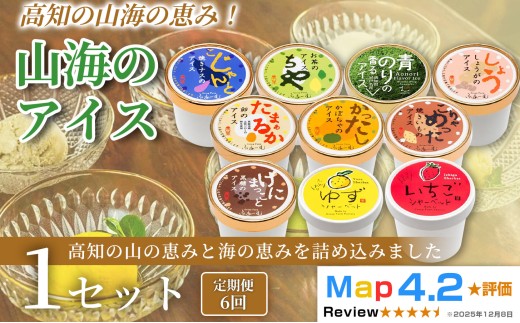 山海のアイス 100ml×10個 定期便 6回 アイスクリーム シャーベットアイス 人気 ご当地アイス 高知県 焼きナス 卵 かぼちゃ 焼きいも お茶 黒糖 青のり しょうが ゆず いちご お菓子 スイーツ デザート カップアイス ジェラート 手作り お取り寄せ  詰め合わせ 贈り物 贈答 冷凍 ギフト プレゼント ロングセラー リピート 安芸市 高知県