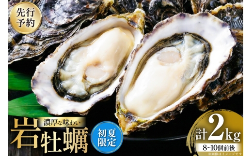 【先行予約】 【期間限定発送】 殻付き牡蠣 生食可 生牡蠣 約2kg 8〜10個前後 [北川水産 長崎県 平戸市 hr42bgy400230] 牡蠣 岩牡蠣 殻付 かき カキ イワガキ 岩ガキ いわがき