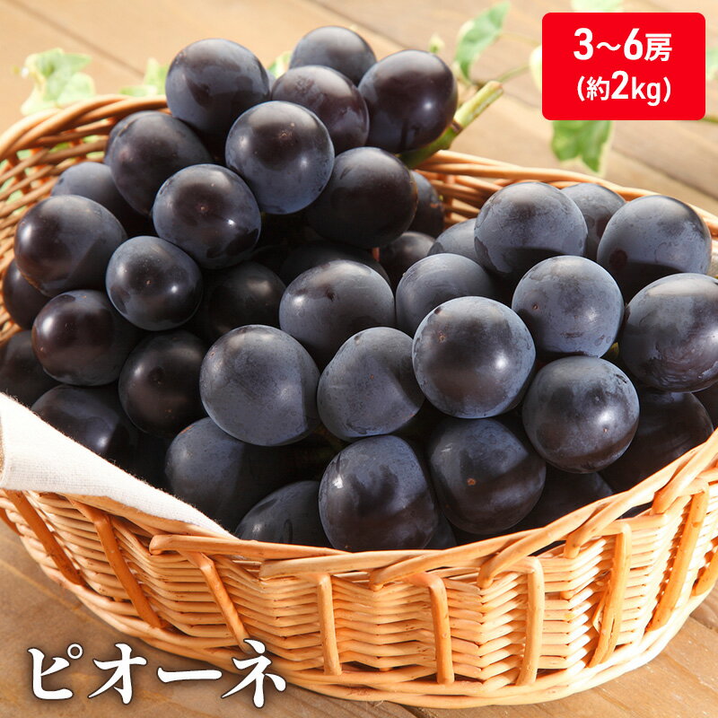【ふるさと納税】大粒で濃厚な甘み「ピオーネ」　約2kg 果物 ぶどう フルーツ 　お届け：2025年7月上旬～9月上旬頃※状況によって希望通りお届けできない場合もあります。