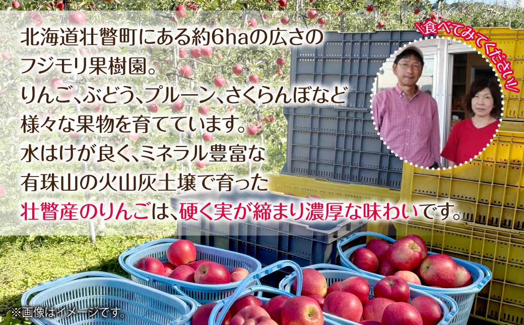 【先行予約】北海道壮瞥町産りんご「シナノスイート」約3kg(8～10玉)<2026年10月下旬よりお届け> SBTF003