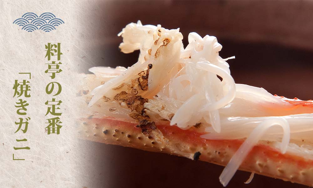 【蒸し】タグ付き松葉ガニ 大2枚 (1枚800〜940g 前後) 先行予約受付 ズワイガニ かに 11月上旬〜3月上旬発送 TM2 0712