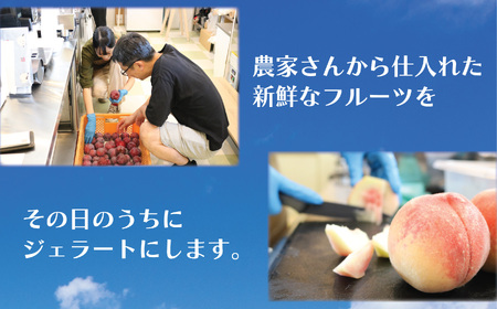ジェラート 2L 4種 セット 手作り 季節の  ジェラート 