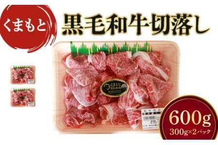 牛肉 切り落とし 600g（300g×2パック）