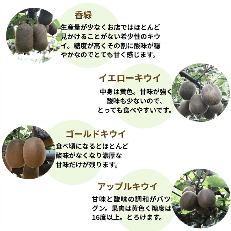 【先行予約】キウイ フルーツ 食べ比べ アソート 3種 約1.4kg & キウイジュース 500mlセット（果汁70％） 阿武町産 キウイトリプル ジュースセット フルーツ 果物詰め合わせ 《お届け：