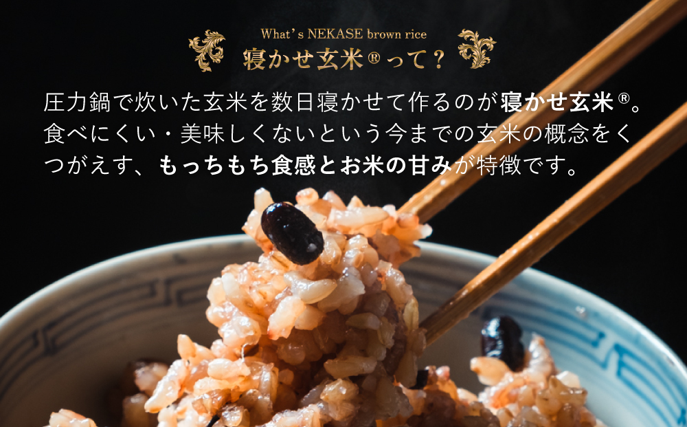 寝かせ玄米ごはんパック 小豆ブレンド 160g×24食｜玄米 常温保存 パックご飯 備蓄 一人暮らし レトルト 小豆 [1610]