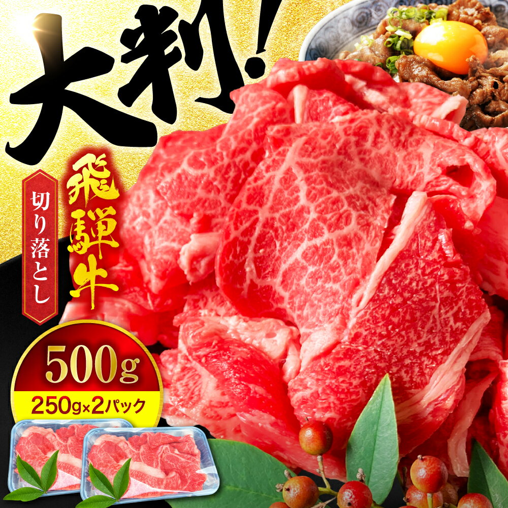 【ふるさと納税】《年内発送 12月10日決済まで》A5ランク 飛騨牛 切り落とし 500g(250g×2) 【有限会社マルゴー】牛肉 飛騨牛 土岐市[MBE002]