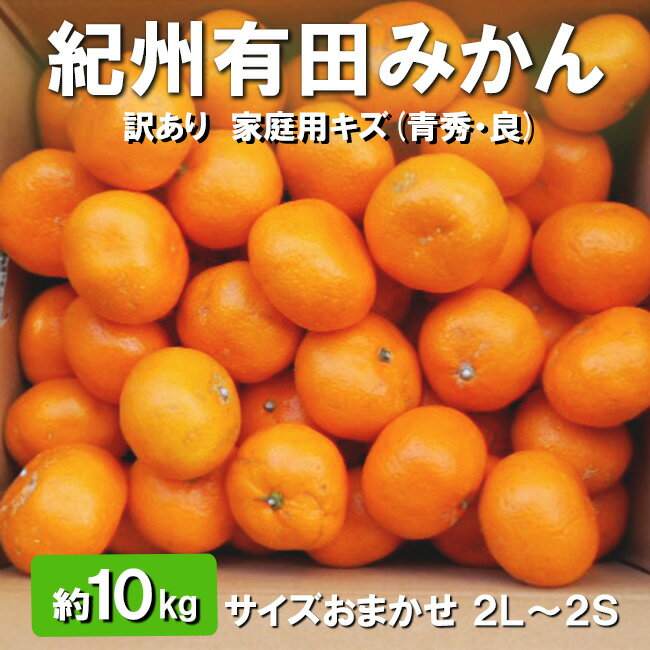 【ふるさと納税】 有田みかん 家庭用 訳あり 10kg 紀州産 キズ (青秀・良) サイズおまかせ 2L〜2S ※11月下旬〜翌年1月中旬頃に順次発送予定 ※北海道・沖縄・離島配送不可 / みかん 蜜柑 柑橘 果物 くだもの 果実 フルーツ 国産 和歌山 有田