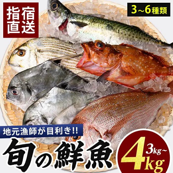 新鮮な魚をお届け 指宿産直便 漁師が選ぶ季節の鮮魚便  3～4kg 指宿山川水産 IB035-022 鮮魚 魚 セット 新鮮 旬