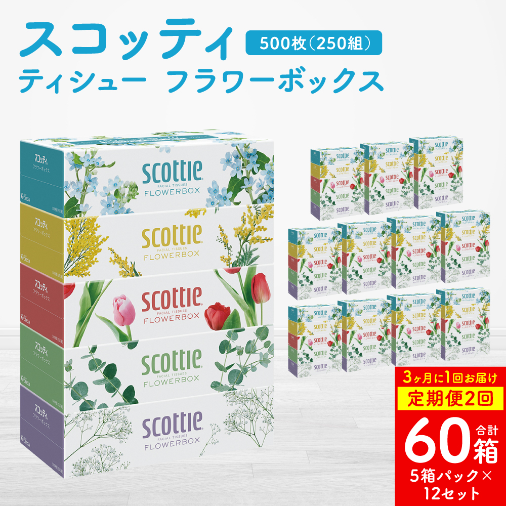 【定期便2回】【3ヶ月に1回お届け】【スコッティ】 ティシュー フラワーボックス 250組 60箱 計120箱 ティッシュ 日用品 生活必需品 消耗品 紙 まとめ買い ストック 備蓄 防災備蓄 新生活 防災 生活用品 日用消耗品 箱ティッシュ