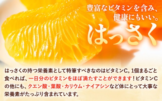 【ご家庭用】八朔 サイズ不選別 約1kg《2027年1月末-3月上旬出荷予定》和歌山県 日高町 柑橘 はっさく ハッサク 果物 フルーツ 訳あり