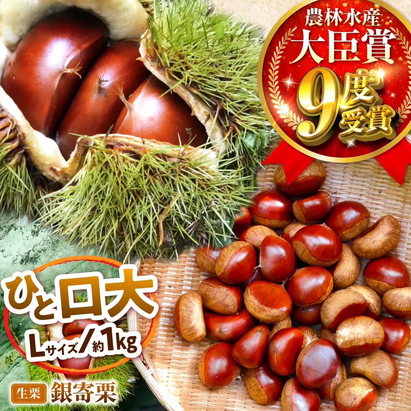 銀寄栗 【先行予約】Lサイズ 1kg 約55粒 栗 BKCC003