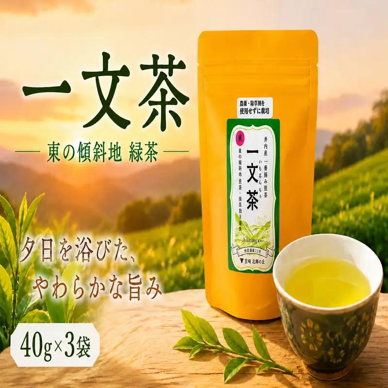 〈 新茶 〉 緑茶 東の傾斜地 40g × 3袋 茶葉 【 一文茶 】