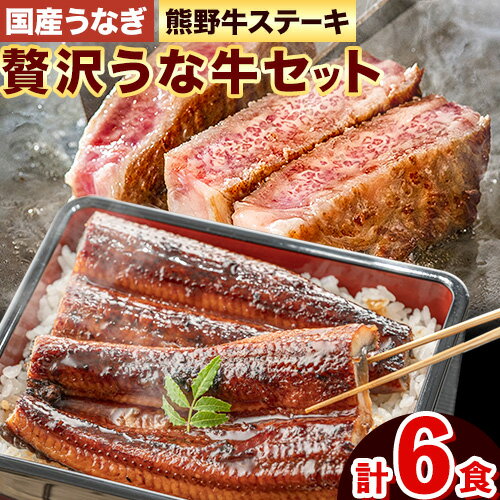 【ふるさと納税】ステーキ 鰻 熊野牛 国産うなぎ 熊野牛ステーキと国産炭火焼鰻の贅沢うな牛セットB 計6食 株式会社Meat Factory《30日以内に出荷予定(土日祝除く)》和歌山県 日高川町 ロースステーキ 牛肉 肉 国産 うなぎ 送料無料