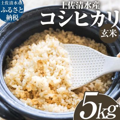 ふるさと納税 土佐清水市 【先行受付】令和8年産 土佐清水産コシヒカリ 新米 玄米 5kg  宗呂米【R01597】
