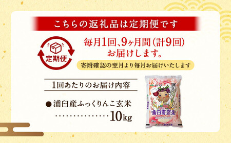 【9回定期便】浦臼産ふっくりんこ 玄米 10kg×1袋 | 米 お米 こめ コメ ブランド米 ごはん ふっくりんこ 定期 定期便 北海道産 浦臼産 北海道 浦臼町