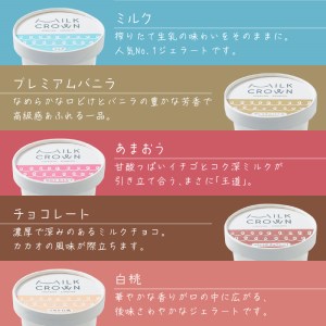 【12ヶ月定期便】北海道くんねっぷ牛乳ジェラート 10種詰合せ ( アイスクリーム ミルク バニラ あまおう チョコレート マンゴー カプチーノ ピスタチオ 抹茶 あずき 定期便 )【999-0106