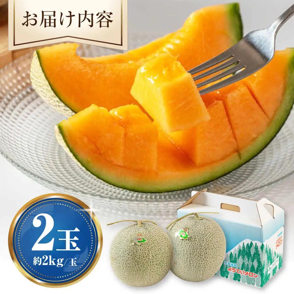 【先行予約】赤肉メロン2玉 [AJAK024] メロン 夏