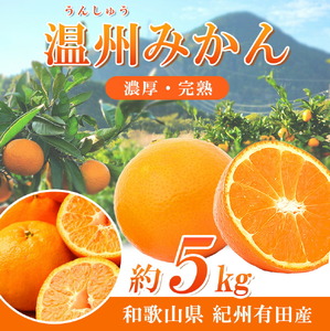 紀州有田産濃厚甘熟温州みかん5kg【2026年11月下旬以降発送】【先行予約】【UT09】【uot006】