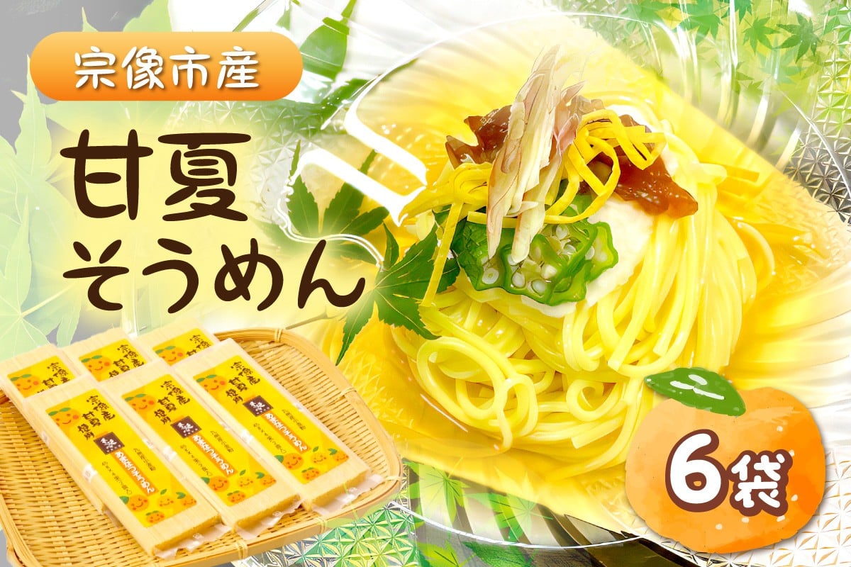 
                  宗像市産甘夏そうめん 6袋セット【道の駅むなかた】_HA1826
                